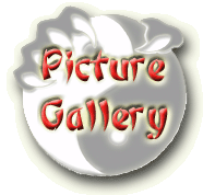 picgallery.gif (16284 bytes)